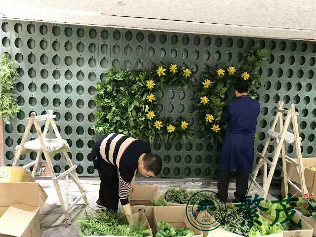 蚌埠某珠寶店立體植物墻案例