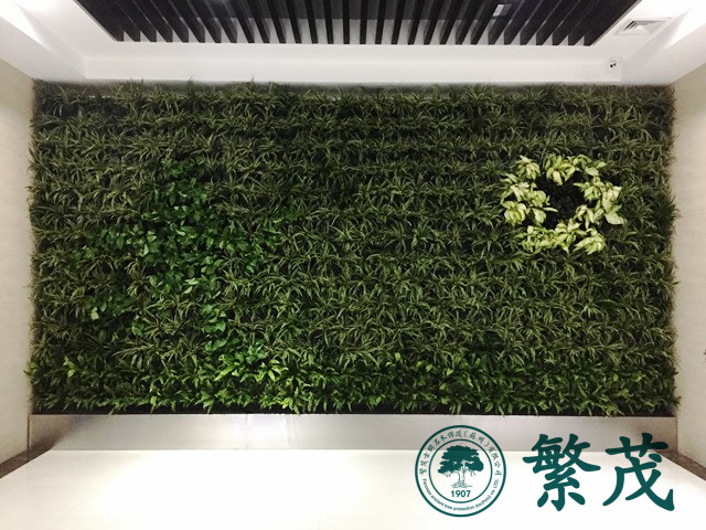 昆山某企業(yè)立體植物墻案例